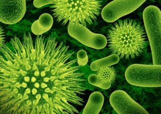 cleaning germs and bacteria picture